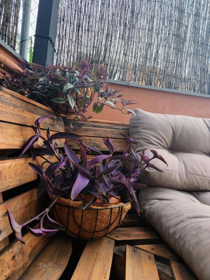Estudio Con Terraza Badalona Hotell Eksteriør bilde